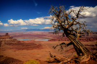 Canyonlands, Utah, USA