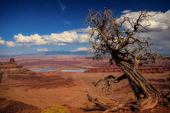 Canyonlands, Utah, USA